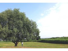 -渭河城市绿地运动公园