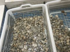 -渔人码头(中南店)