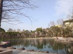 -大宁公园