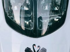 -BLACKSWAN黑天鹅(环球店)