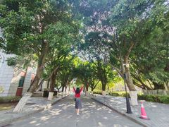 -厦门大学(思明校区)