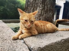 -无锡惠山寺