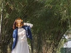 -堤角公园