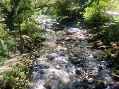 -广州市石门国家森林公园