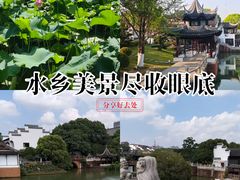 -八大山人梅湖景区