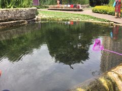 -成都市活水公园