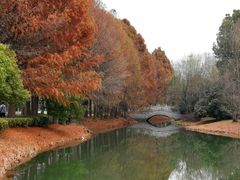 -石湖景区