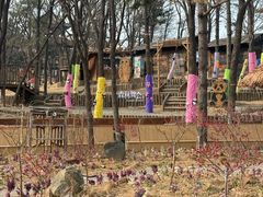 -沂蒙山旅游区云蒙景区(蒙山国家森林公园)