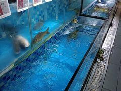 -临武万客隆国际购物广场(晴岚路店)