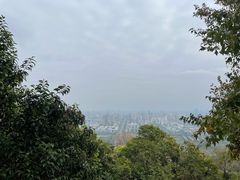 -大蜀山国家森林公园