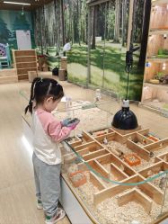 -小象动悟公园(龙湖亦庄天街店)
