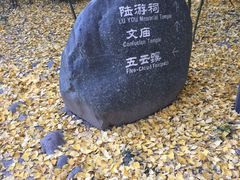 -查淑芳查渣面(崇州店)