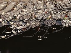 -钱王祠