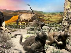 -国家自然博物馆