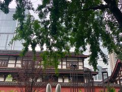 -百丽宫影城(嘉里汇店)