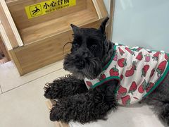 -宠福鑫康馨动物医院·骨科·眼科