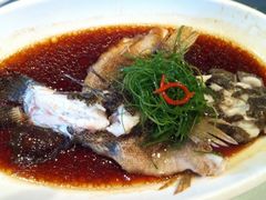 -沪碟·精菜坊(闵行店)