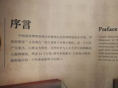 -烟台自然博物馆