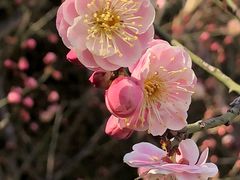 -颐和园