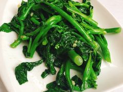 姜汁炒芥兰-朱仔记食府(江南大道店)