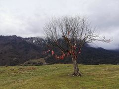 -硗碛藏寨·神木垒景区
