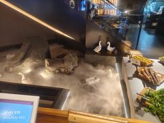 -阿庄新豫菜(通泰路店)