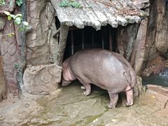 -长鹿旅游休博园