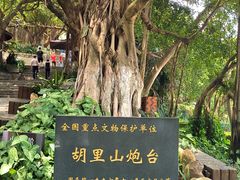 -胡里山炮台