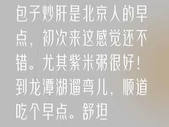 -陈寔包子王·卤煮小肠·京味小吃(龙潭店)