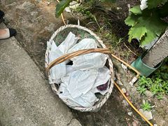 -马陆小张葡萄园农家乐