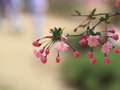 -国家植物园