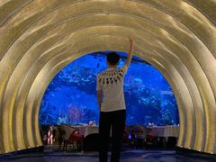 -迪拜帆船酒店海底餐厅