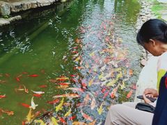 -南通洲际绿博园