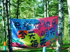 -汤旺河林海奇石景区