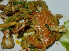 -Jungle Kitchen