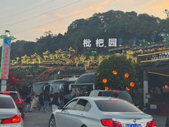 -枇杷园食为鲜火锅(南山店)