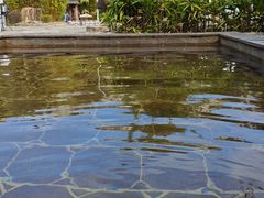 -罗浮山嘉宝田森林温泉度假酒店