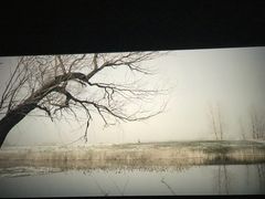 -奥斯卡升龙国际影城(RealD Cinema)