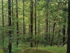 -崂山巨峰游览区