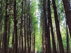 -捞渔河湿地公园