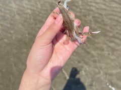 -启东恒大海上威尼斯酒店