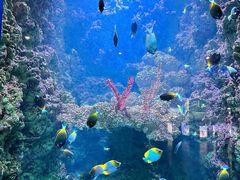 -海合安青岛极地海洋公园