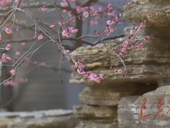 -无锡梅园公园
