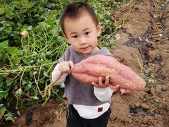 -万源龙顺度假庄园生态观光园