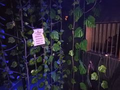 -明日世界密室轰趴·剧本桌游·箭馆团建(国贸店)
