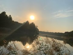 -大兴滨河森林公园