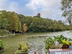 -深圳仙湖植物园