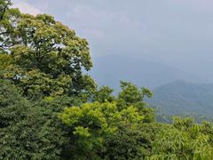 -青城山