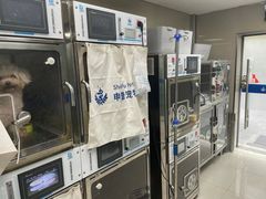 -申普宠物医院·心脏介入·心血管微创(总院)