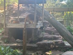 -费瑟代尔野生动物园